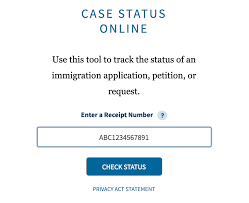 u s citizenship application status