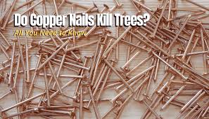 do copper nails kill trees all you