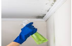 tips for removing mold from the ceiling
