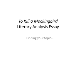   paragraph essay to kill a mockingbird