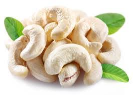 cashew nuts at best price INR 700INR 750 / Kilogram in Ratnagiri Maharashtra from Pawar Agro Farm | ID:3599255