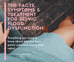 learn about pelvic floor dysfunction