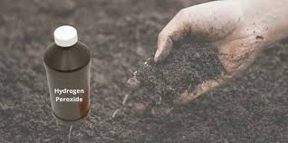 Sterilize Soil With Hydrogen Peroxide