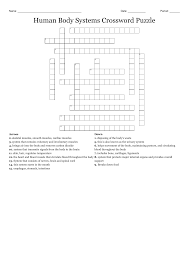 A typical long bone shows the gross anatomical characteristics of bone. Human Body Systems Crossword Puzzle