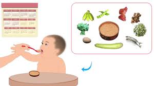 food for 6 to 24 month old es tamil