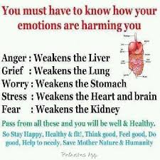 Negative Emotions Target Major Bodily Organs Health