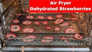 dehydrated strawberries power air fryer