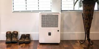 dehumidifier features what to look for