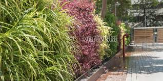 beautiful outdoor vertical gardens