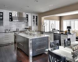 modern contemporary kitchens in dc metro