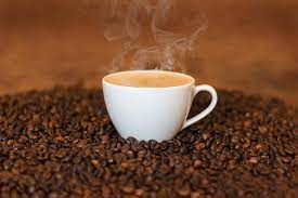 conheça a origem do café e sua história
