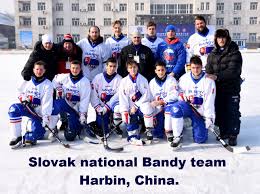 Górnośląski klub sportowy (gks) tychy is a polish ice hockey team from tychy which current plays in the polska hokej liga, the highest professional ice hockey league in the country. Slovenska Asociacia Bandy