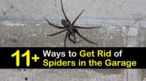 Get Rid Of Spiders In The Garage