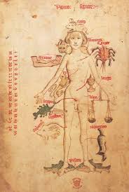 Medieval Zodiac Chart