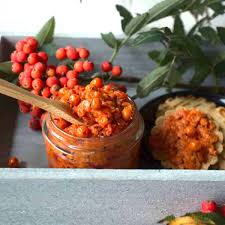 rowan berry jam with chia and its uses