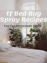 17 homemade bed bug spray recipes to