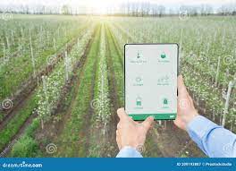 Digital Gardening, Smart Farming. Farmer Using Agricultural Mobile App and  Tablet Computer To Harvest Eco Crops Outdoors Stock Image - Image of green,  collage: 209193887