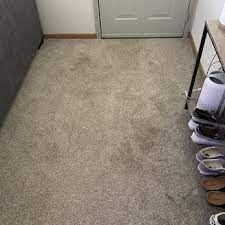 aaa carpet cleaning and water damage