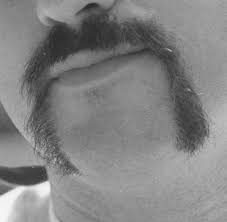 Growing a moustache has become somewhat of a lost art among most men nowadays, but if you're lucky enough to have the ability to grow one, you should know how to take however, if you have a thick moustache, you'll want to trim it right on the edges of your lips, if not a little shorter than that. How To Trim And Shape A Mustache Bellatory