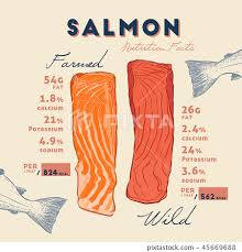 farmed salmon stock ilration