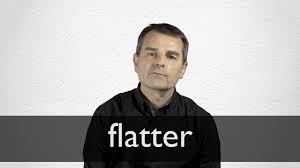 flatter definition and meaning