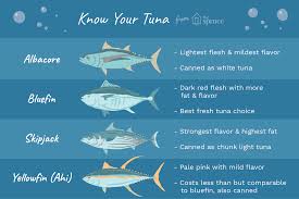 A Guide To Different Types Of Tuna