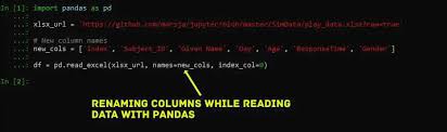 renaming columns in pandas dataframe