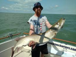 detroit river walleye charter 400
