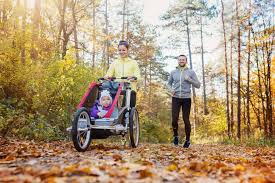 10 Best Jogging Strollers For Your Money 2019 Reviews