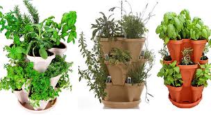 Organic Indoor Herb Garden
