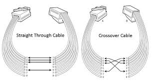 Collection of cat 5 wiring diagram pdf. Overview Of Cat5 Cat5e Cat6 Cat7 Cat8 Rj 45 Network Cable Wiring Type Pinout