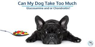 How Much Glucosamine Chondroitin For Dogs Recommended