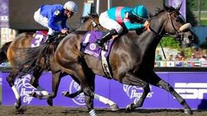 Official Breeders Cup 2020 Ticket Packages
