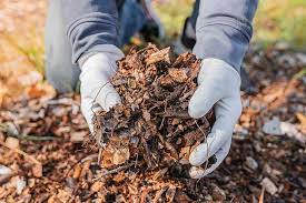 What Is Garden Mulch Why Should You