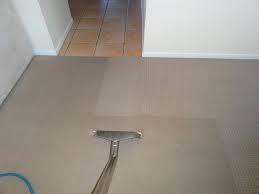 carpet cleaning best 1 cleaning