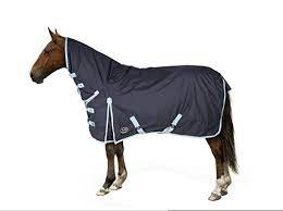 the best horse rugs for winter your
