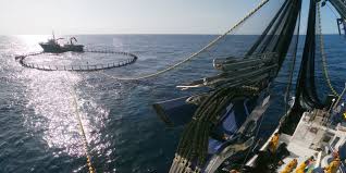 3d sonars for sustainable fishery ixblue