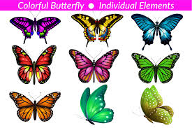 colorful erflies clipart set