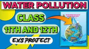 water pollution evs project cl 11th