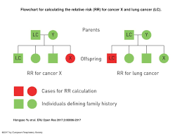 Flowchart For Calculating The Relative Risk Rr For Cancer