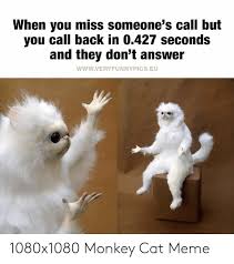 Download the best of funny meme cat pictures 1080 x 1080. When You Miss Someone S Call But You Call Back In 0427 Seconds And They Don T Answer Wwwveryfunnypicseu 1080x1080 Monkey Cat Meme Meme On Me Me