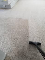 precise carpet cleaning reviews saint