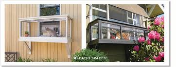 Diy Catio Plan The Window Box Catio
