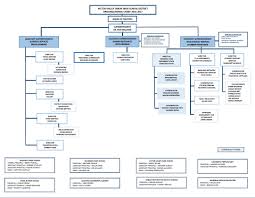 44 True Kaiser Organizational Chart