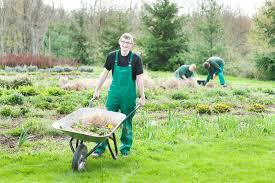 Wer sich heute zum gärtner ausbilden lässt, trifft eine gute wahl für seine zukunft. Gartenbauwerker In Fachrichtung Garten Und Landschaftsbau Cjd Berufsbildungswerk Gera