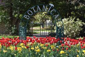tulip festival at botanica opens april