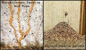 Anti Termite Biochem Pest Control