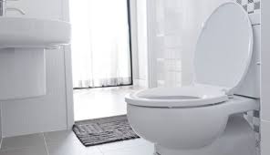 Elongated Vs Round Toilet Pros