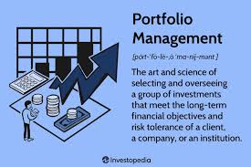 portfolio management definition types
