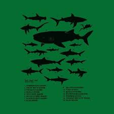 Us 12 34 5 Off Fashion Men T Shirt Free Shipping Brand New Shark Identification Chart Shirt Shark Week Marine Biology Sharks Id Summer T Shirt In